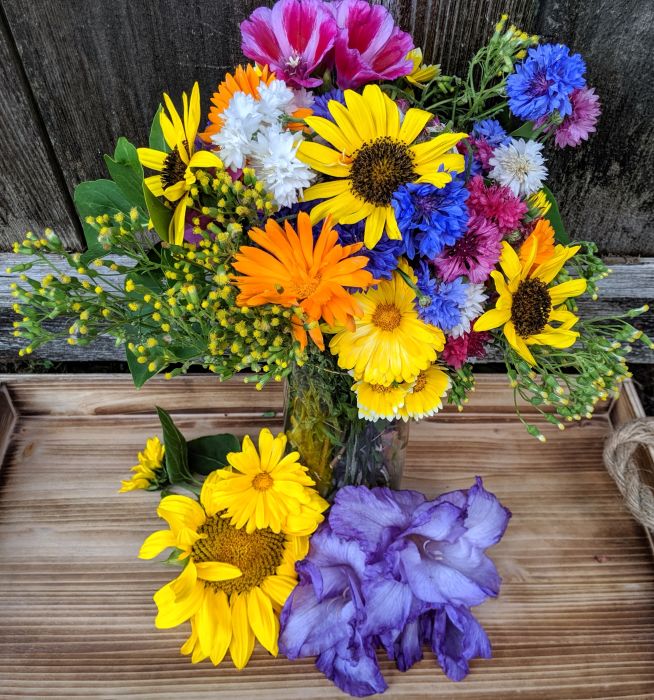 Bulk Wholesale Flowers from FiftyFlowers