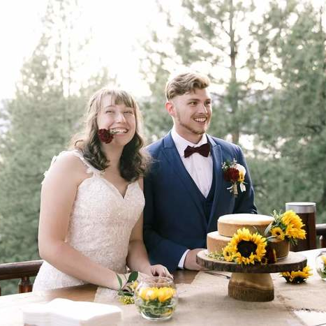 Sunshine in the Evergreen Forest