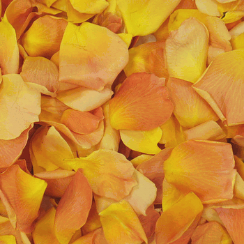 Popping Mango Dried Rose Petals