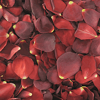 Red Cocoa Dried Rose Petals