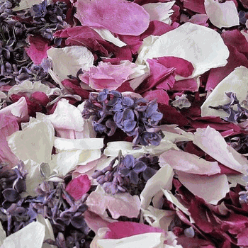 Peony and Lilac Dried Petal Blend