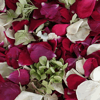 Wonderland Dried Petal Blend