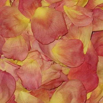Amber Sunset Dried Rose Petals