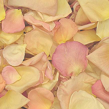 Assorted Pastels Freeze Dried Petals