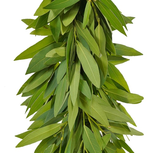 Wholesale Bay Leaf Greenery Garlands FiftyFlowers