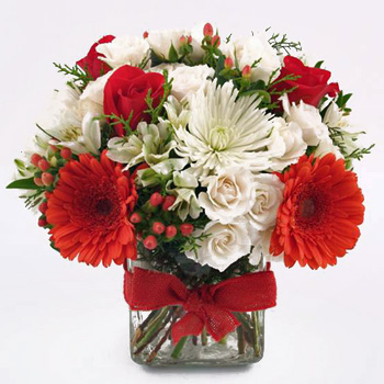 A Beautiful Christmas Flower Gift