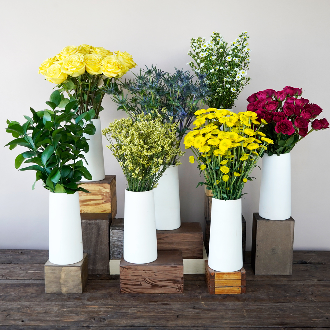 Primary Colors Flower Combo Pack