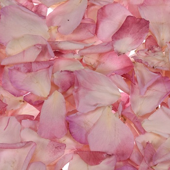 Bridal Pink Dried Rose Petals