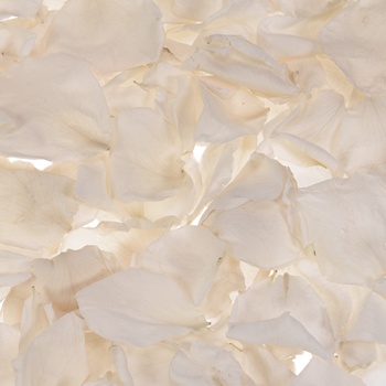 Ivory Snow Dried Rose Petals