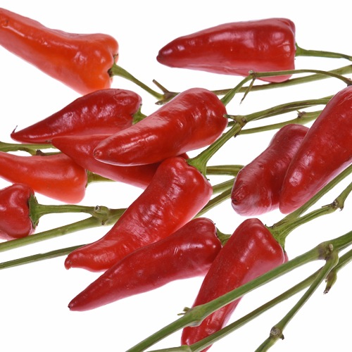 Chili Pepper Wholesale Fall Greens