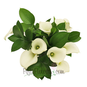 Off White Mini Callas Centerpieces