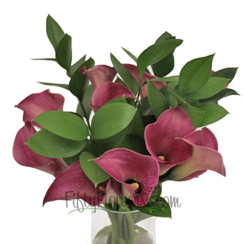 Purpleberry Mini Callas Centerpieces