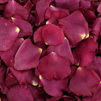 Eternal Love Dried Rose Petals