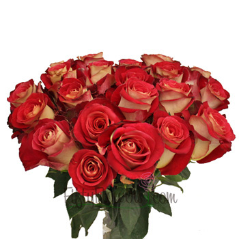 Friendship Yellow And Red Rose Fiftyflowers Com ✓ free for commercial use ✓ high quality images. friendship yellow and red rose