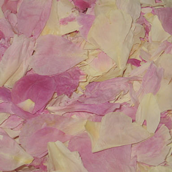 Heart Peony Dried Petals