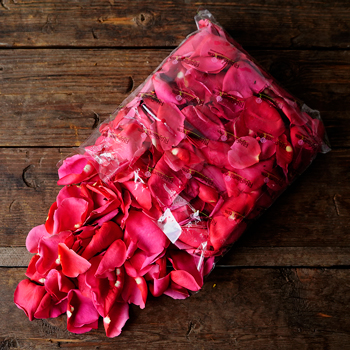 Hot Pink Rose Petals