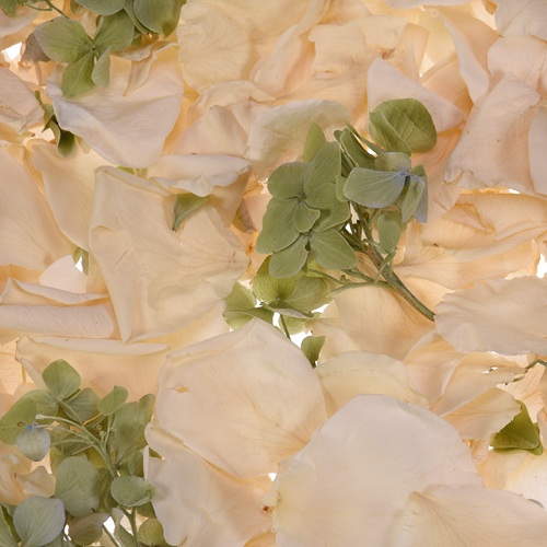 Green and Cream Irish Dried Petal Blend