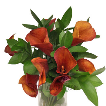 Mango Mini Callas Centerpieces