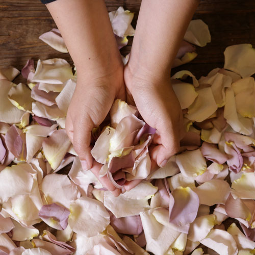 Muted Mauve Rose Petals DIY Wedding Flowers FiftyFlowers