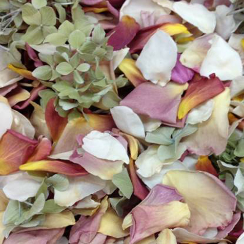 Outdoor Wedding Freeze Dried Petals l