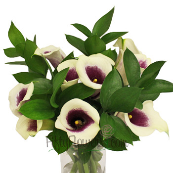 Picasso Mini Callas Centerpieces