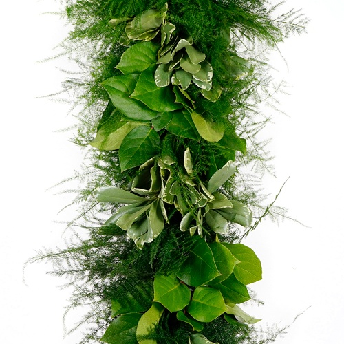 Plumosa Medley Greens Garland