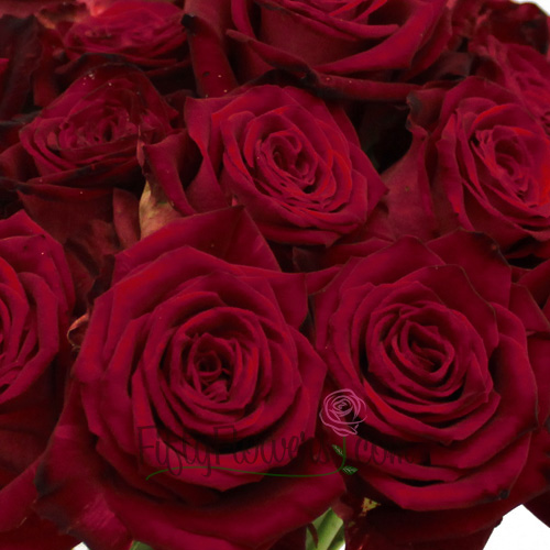 Ruby Red Velvet Sweetheart Rose