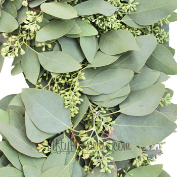 Fresh Seeded Eucalyptus Wreaths