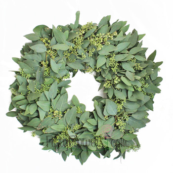 Fresh Seeded Eucalyptus Wreaths