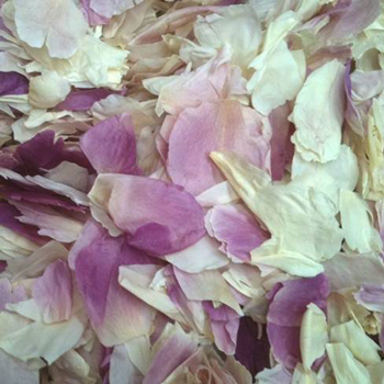 Shabby Chic Peony Wedding Dried Petals