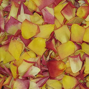 Sunset in the Park Dried Rose Petals