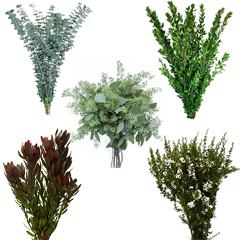 Wedding greens texted mixed greenery box sold near me