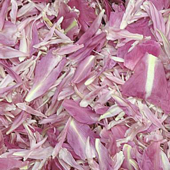 Twinkling Bride Dried Peony Petals