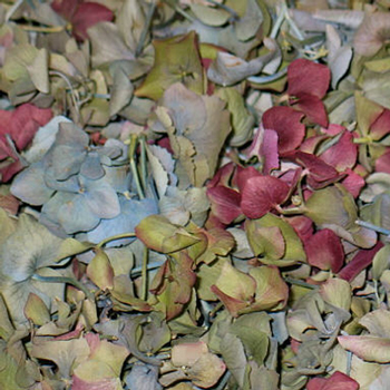 Victorian Wedding Dried Petals