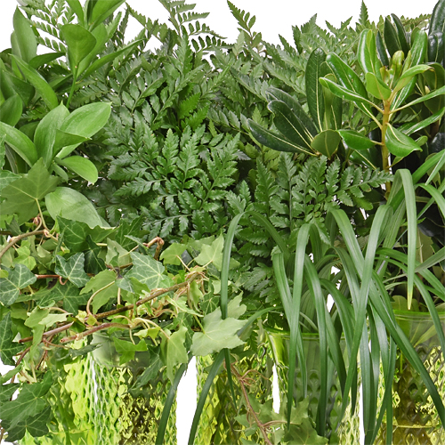 Wedding Greenery Mix