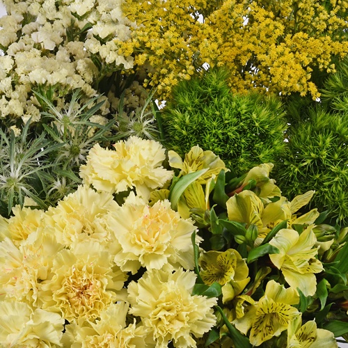 Bulk Yellow Flowers Mother's Day Pack