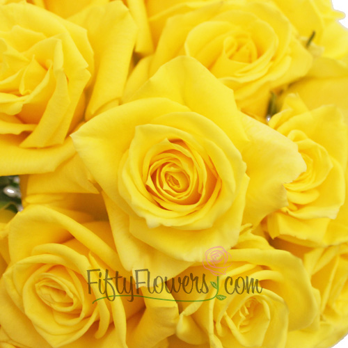 Yellow Island Canary Sweetheart Rose
