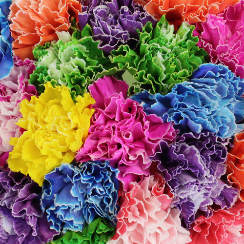 Assorted Dyed Wholesale Carnation Flowers DIY Wedding Flowers