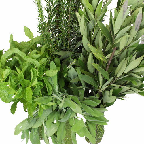 Fresh Cut Herb Assortment for Flower Arranging FiftyFlower