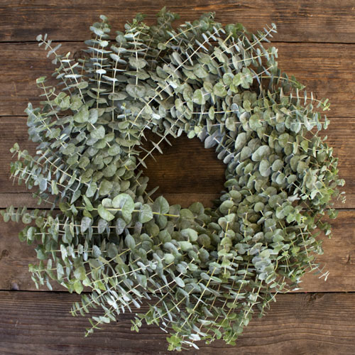 Baby Eucalyptus Wreaths