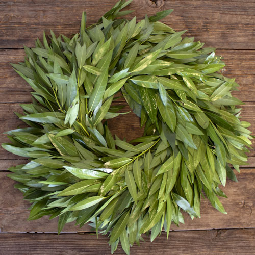 Fresh Bayleaf Wreaths