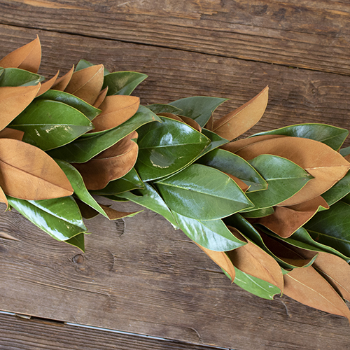 Wholesale Magnolia Leaf Garlands FiftyFlowers