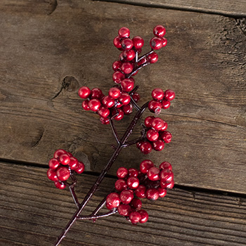 Sweetwater Make Your Own Holiday Wreath Kit Fiftyflowers