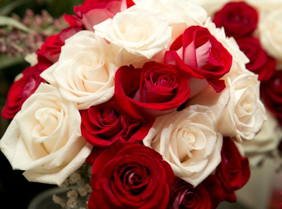 FiftyFlowers Review: Beautiful Latin Lady Roses!